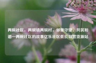 两碗社区，两碗镇两碗村，邻里守望，共筑和谐—两碗社区的故事亿乐社区低价自营货源站