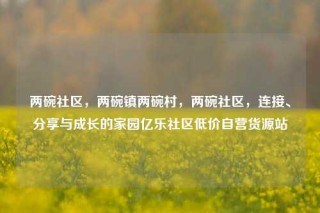 两碗社区，两碗镇两碗村，两碗社区，连接、分享与成长的家园亿乐社区低价自营货源站
