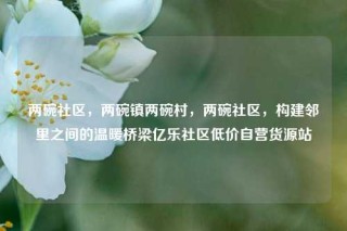 两碗社区，两碗镇两碗村，两碗社区，构建邻里之间的温暖桥梁亿乐社区低价自营货源站