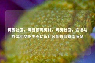 两碗社区，两碗镇两碗村，两碗社区，连接与共享的文化生态亿乐社区低价自营货源站