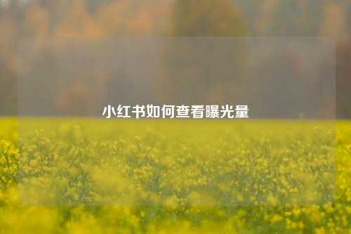 小红书如何查看曝光量  第1张