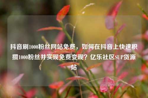 抖音刷1000粉丝网站免费，如何在抖音上快速积攒1000粉丝并实现免费变现？亿乐社区SUP货源站  第1张