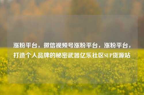 涨粉平台，微信视频号涨粉平台，涨粉平台	，打造个人品牌的秘密武器亿乐社区SUP货源站  第1张